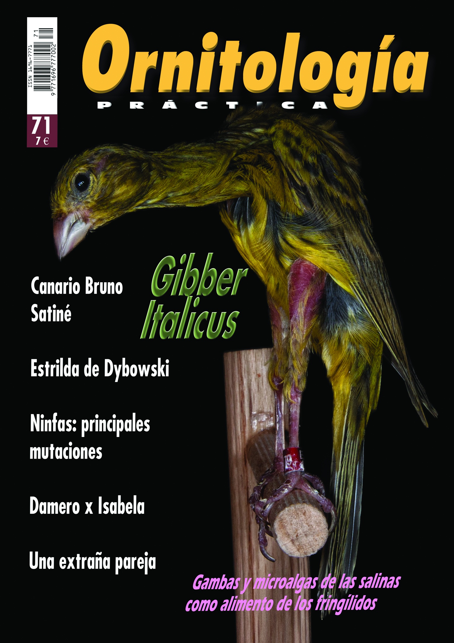 Portada de Ornitología Práctica número 71