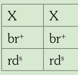 Esquema genético impreso: Negro Satiné macho.