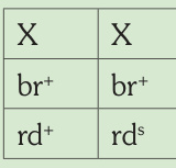 Esquema genético impreso: Negro/Satiné macho.
