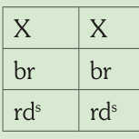 Esquema genético impreso: Bruno Satiné macho.