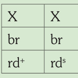 Esquema genético impreso: Bruno/Satiné macho.