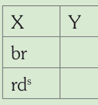 Esquema genético impreso: Bruno Satiné hembra.
