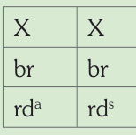 Esquema genético impreso: Isabela/Satiné macho.