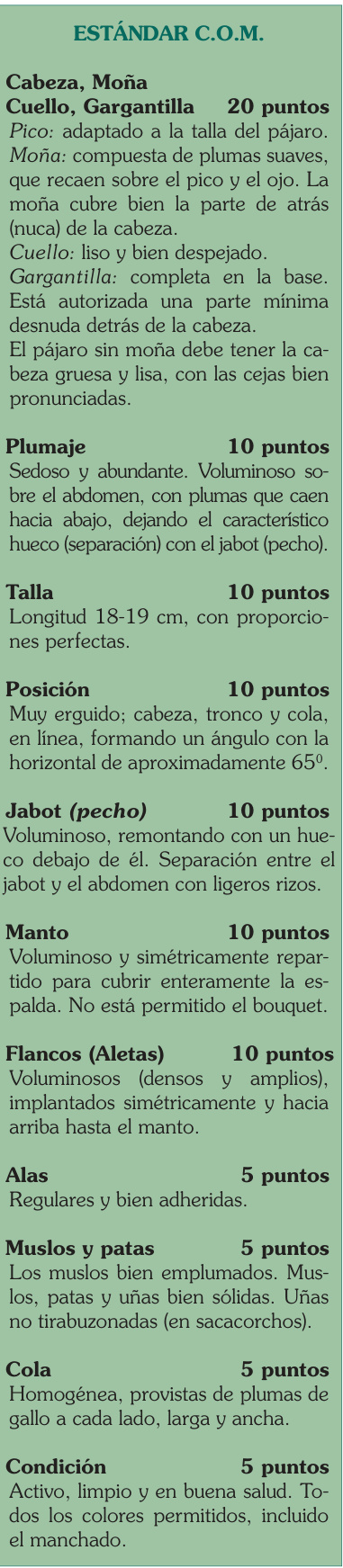 Estándar C.O.M. del Rizado Padovano: apartados, descripción y puntuación originales.