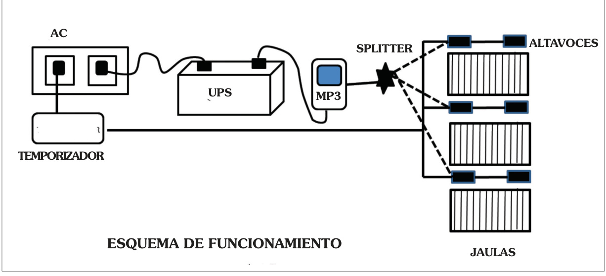 Esquema de funcionamiento: alimentación AC, UPS, temporizador, MP3, splitter, altavoces y jaulas.