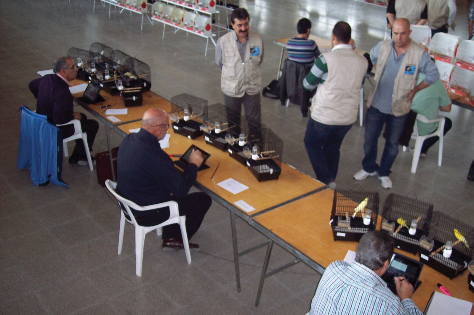 Enjuiciamiento en Deltebre, con los jueces Joao Gallego, Ángel Pacha y José Miguel Roig.