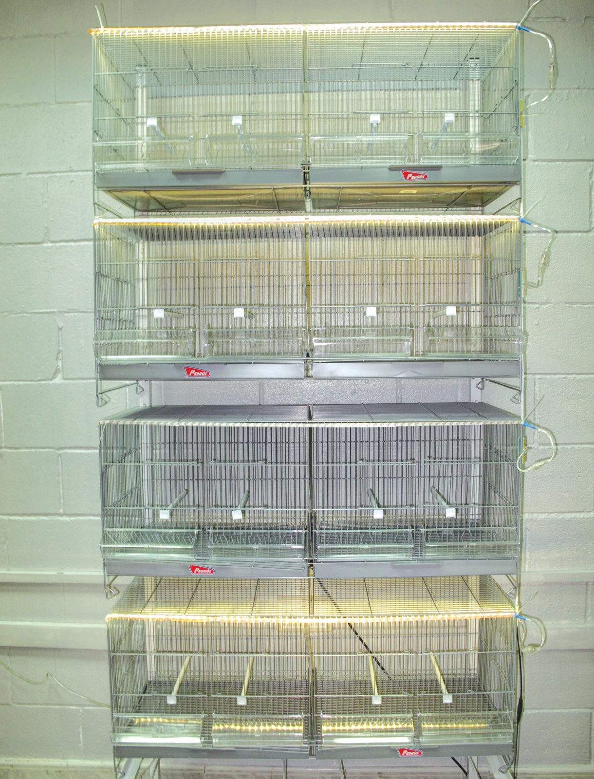 Instalación de iluminación LED en jaulones.
