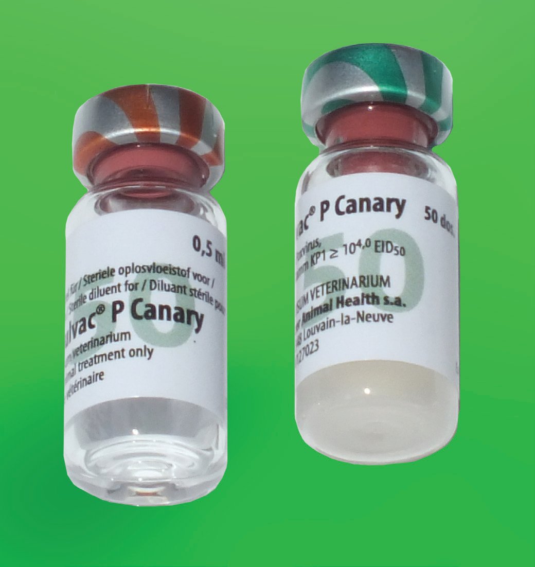 Vacuna liofilizada, a la izquierda, con tapón verde, frasco de 50 dosis, y diluyente, a la derecha, tapón rojo. Composición de la vacuna: Principio activo: Virus vivo atenuado de a viruela del Canario, cepa KP1.