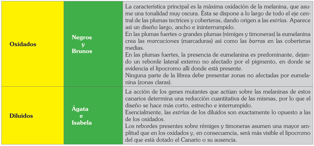 Comparación impresa de oxidados (Negros y Brunos) y diluidos (Ágata e Isabela).