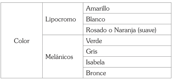 Composición de los equipos: colores lipocrómicos y melánicos.
