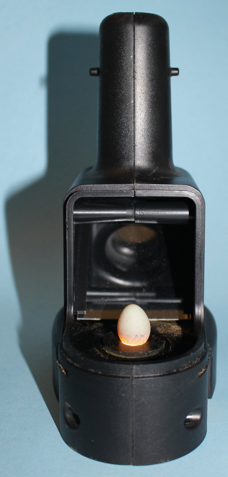 Ovoscopio.