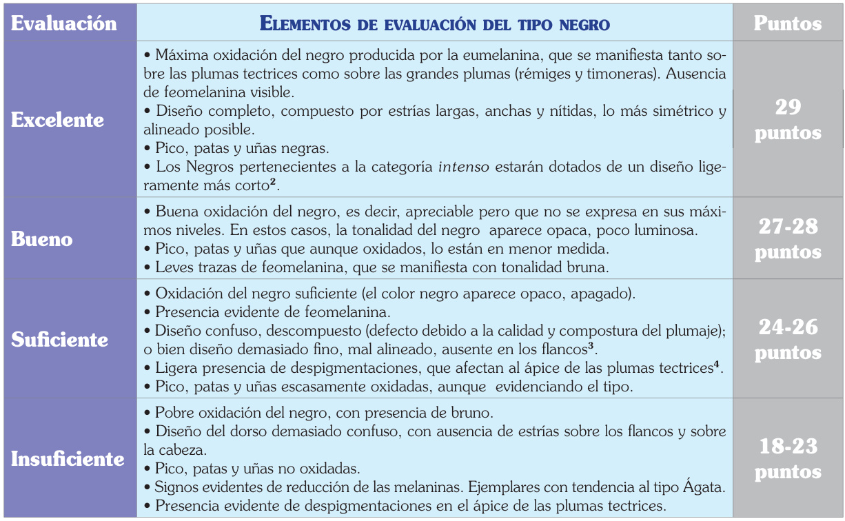 Evaluación del tipo Negro: Excelente29 puntos; Bueno27–28; Suficiente24–26; Insuficiente18–23. Elementos de evaluación completos en la tabla original.