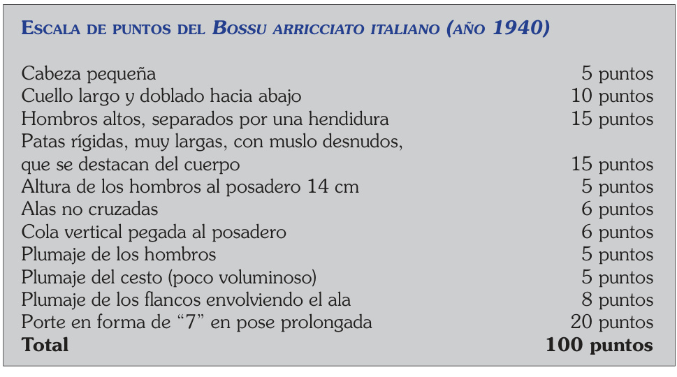 Escala de puntos del Bossu arricciato italiano, año1940.