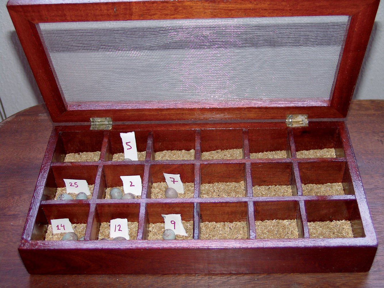 Caja compartimentada para conservar e identificar huevos.