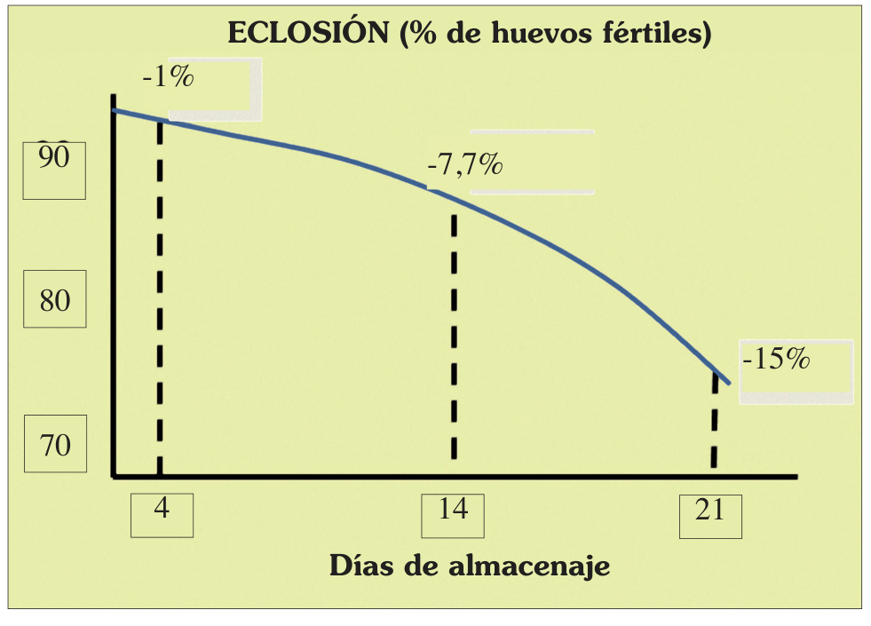 Eclosión de huevos fértiles en función de los días de almacenaje.