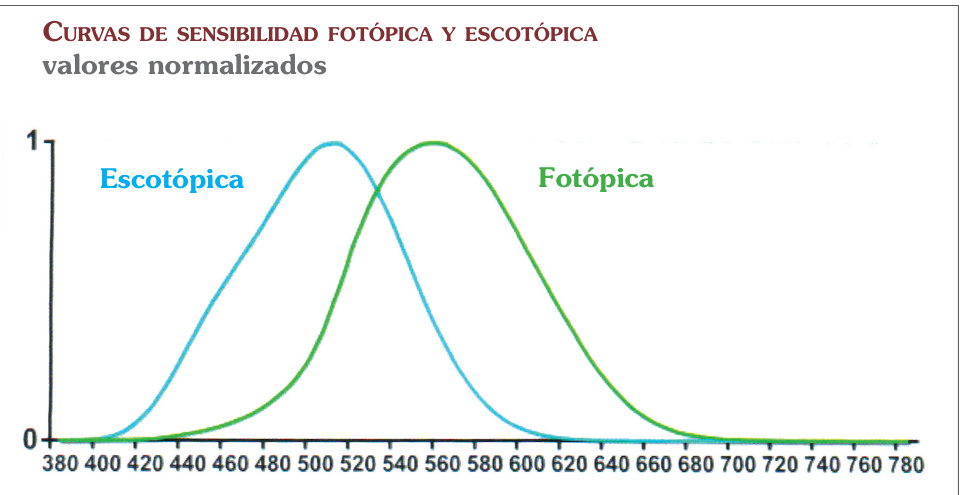 Curvas de sensibilidad fotópica y escotópica valores normalizados