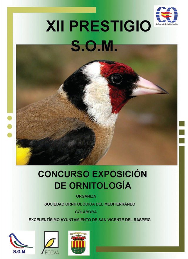 Cartel del XII Concurso Prestigio SOM.