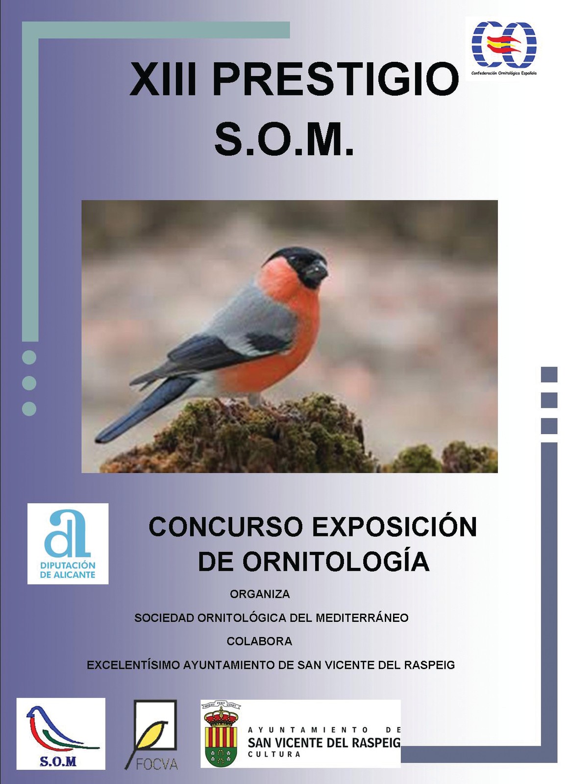 Cartel del XIII Concurso Prestigio SOM.