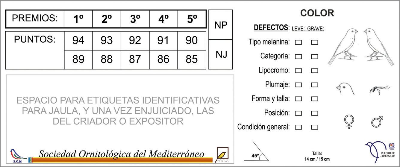 La planilla que se utiliza para este enjuiciamiento no es la oficial del colegio de jueces COE. Se trata de una versión reducida donde básicamente están expuestos, de manera simplificada, los conceptos que contempla la planilla oficial, pero sólo en penalización, que puede ser leve o grave. Planilla de color.