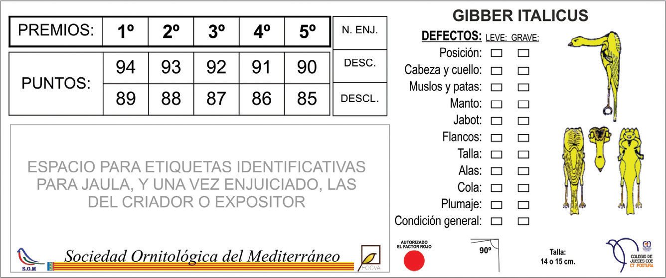 La planilla que se utiliza para este enjuiciamiento no es la oficial del colegio de jueces COE. Se trata de una versión reducida donde básicamente están expuestos, de manera simplificada, los conceptos que contempla la planilla oficial, pero sólo en penalización, que puede ser leve o grave. Planilla de Gibber Italicus.