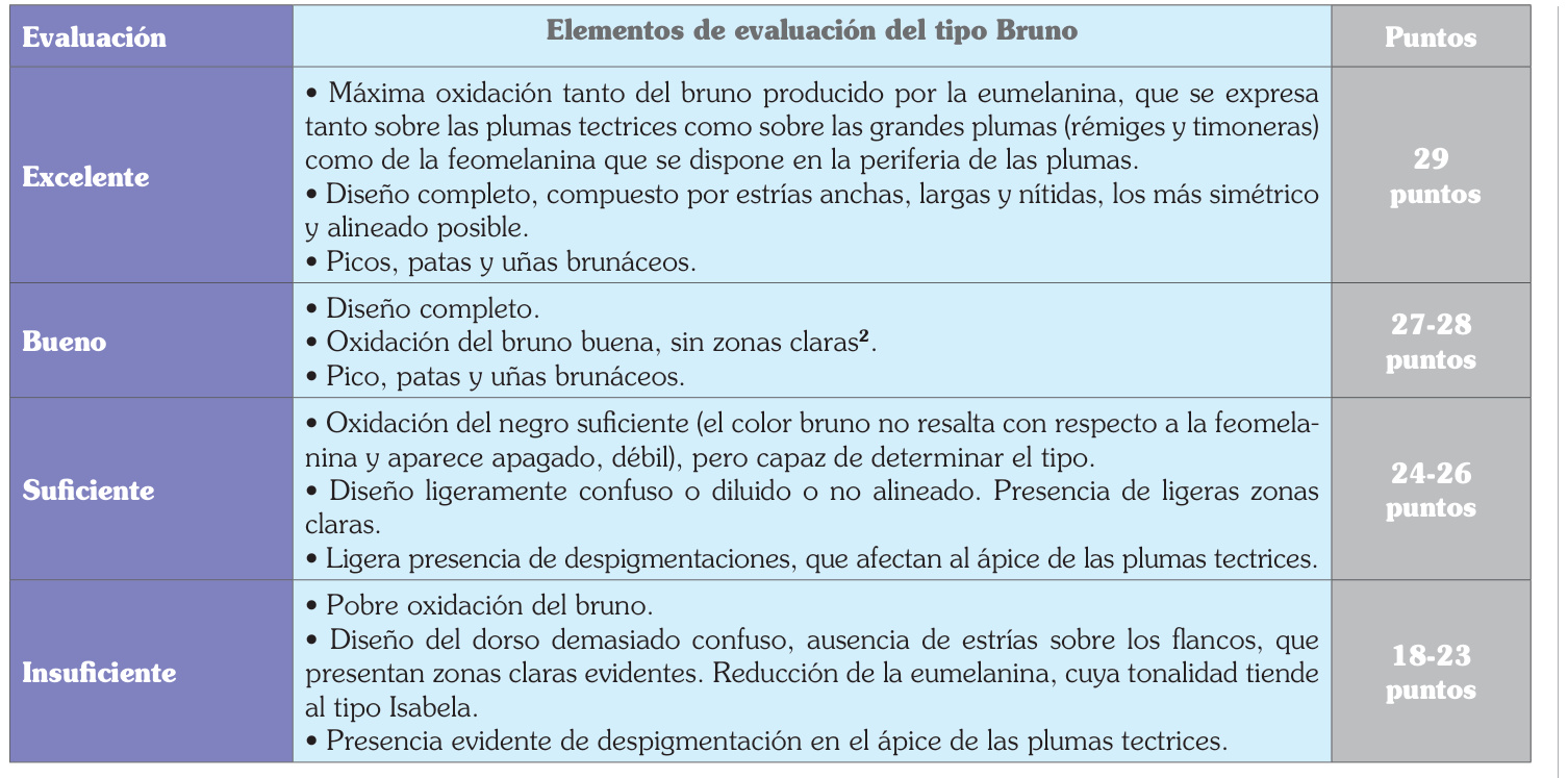 Tabla original de evaluación del tipo Bruno: excelente 29 puntos; bueno 27–28; suficiente 24–26; insuficiente 18–23.