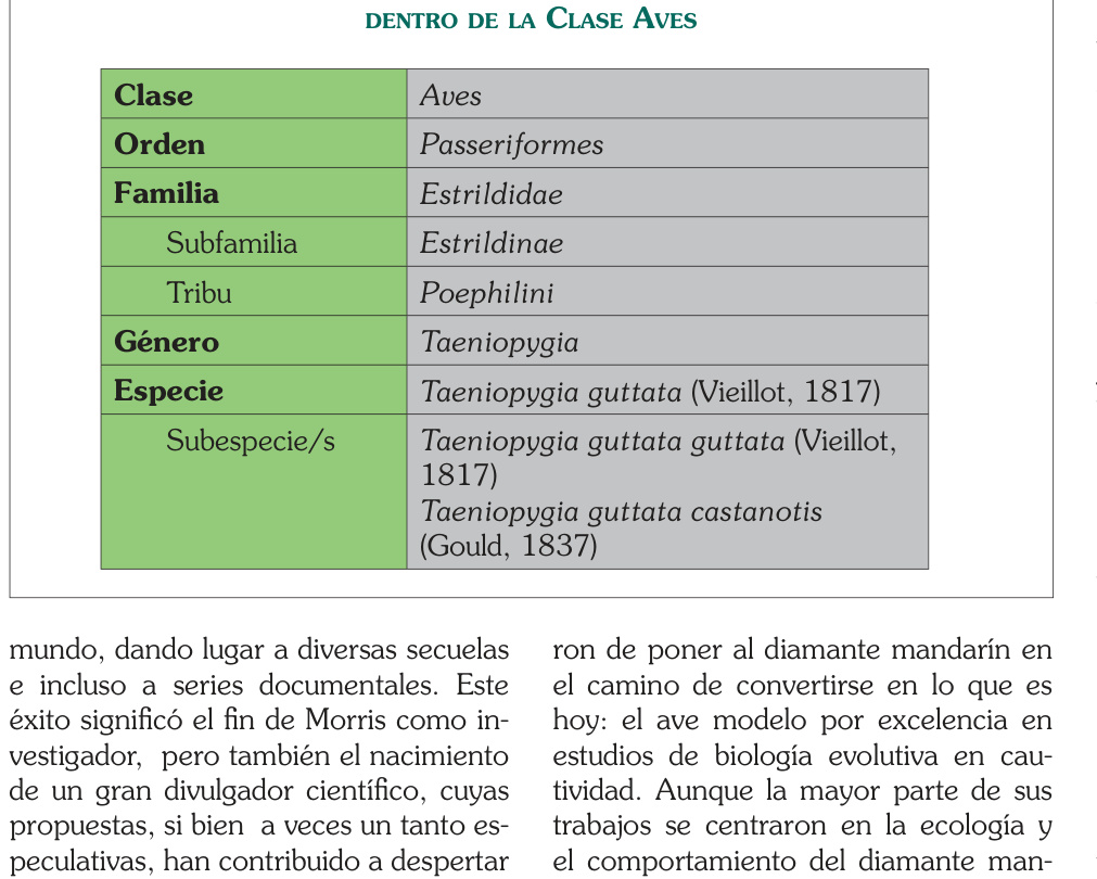 Estatus taxonómico más reciente del diamante mandarín dentro de la Clase Aves. Tabla original del artículo.