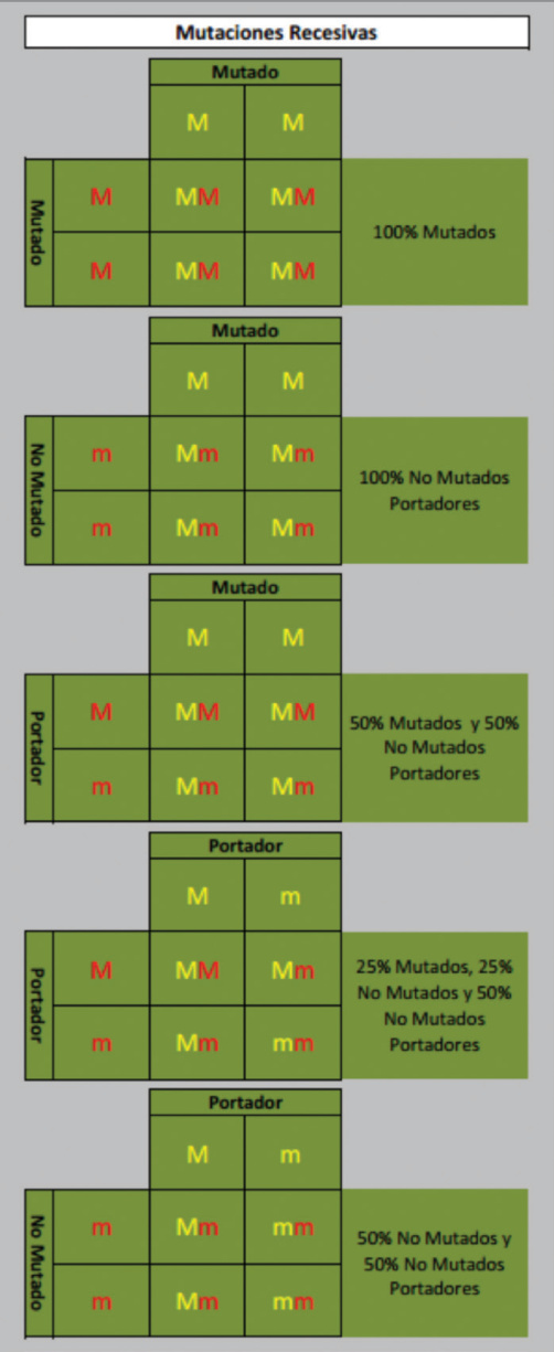 Cuadros de transmisión de mutaciones recesivas.