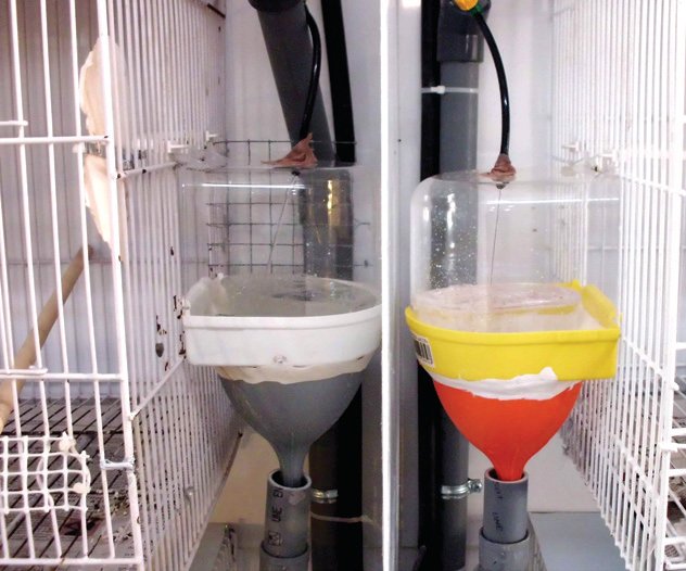 9. Detalle de dos bañeras funcionando paralelamente. 10. Perspectiva de parte de la instalación, en la que se aprecia la disposición de los elementos que componen el sistema; canalización del agua de entrada, llaves de paso colectivas ( de color rojo) e individuales ( de color amarillo), boquillas de entrada a las cabinas, bañeras y canalizaciones de desagüe.