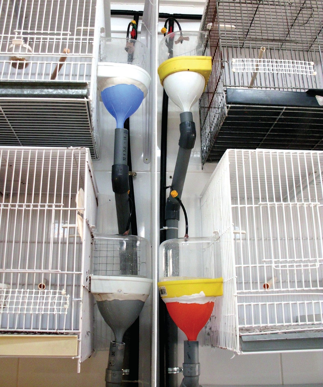 9. Detalle de dos bañeras funcionando paralelamente. 10. Perspectiva de parte de la instalación, en la que se aprecia la disposición de los elementos que componen el sistema; canalización del agua de entrada, llaves de paso colectivas ( de color rojo) e individuales ( de color amarillo), boquillas de entrada a las cabinas, bañeras y canalizaciones de desagüe.