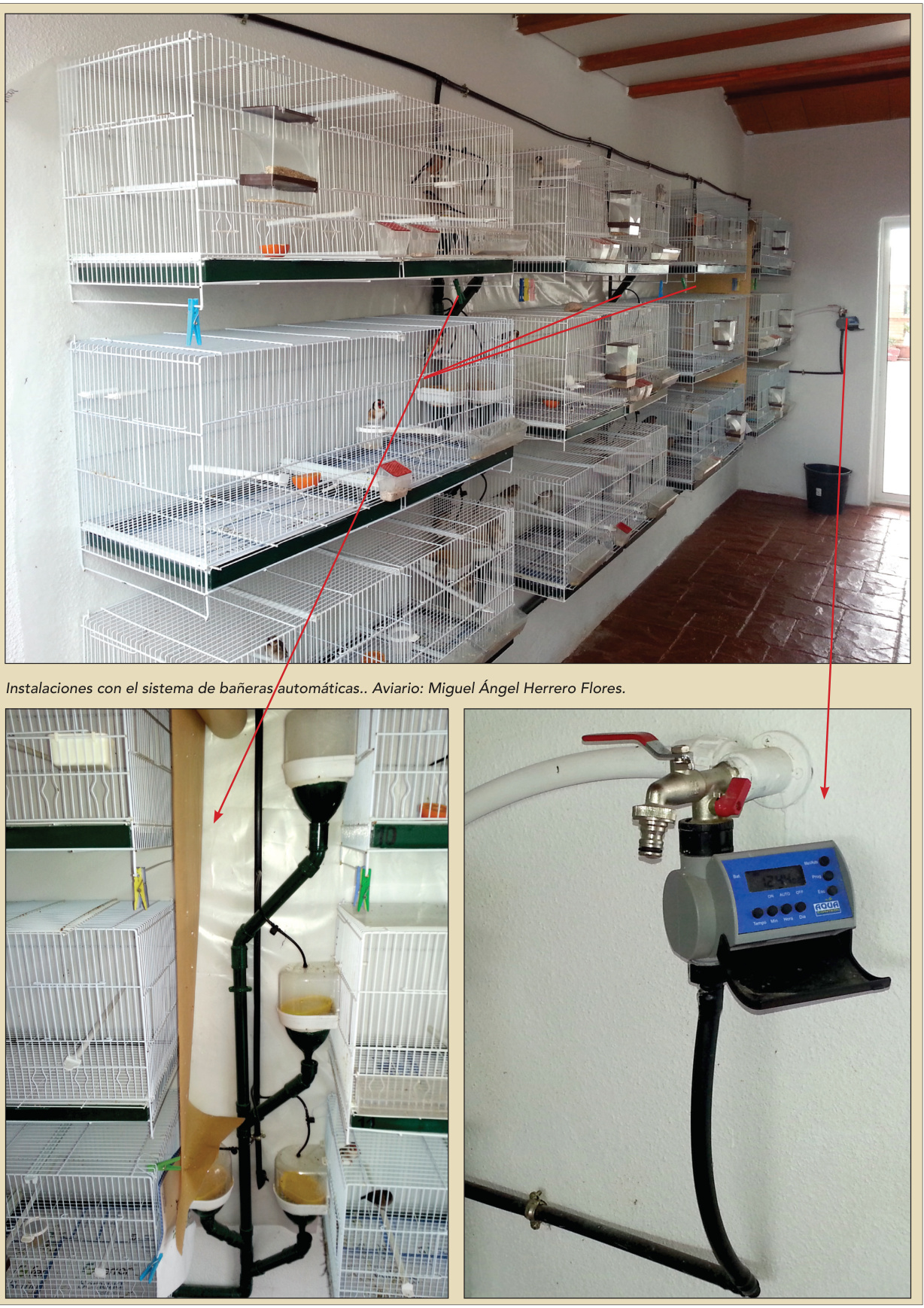 Instalaciones con el sistema de bañeras automáticas.. Aviario: Miguel Ángel Herrero Flores.