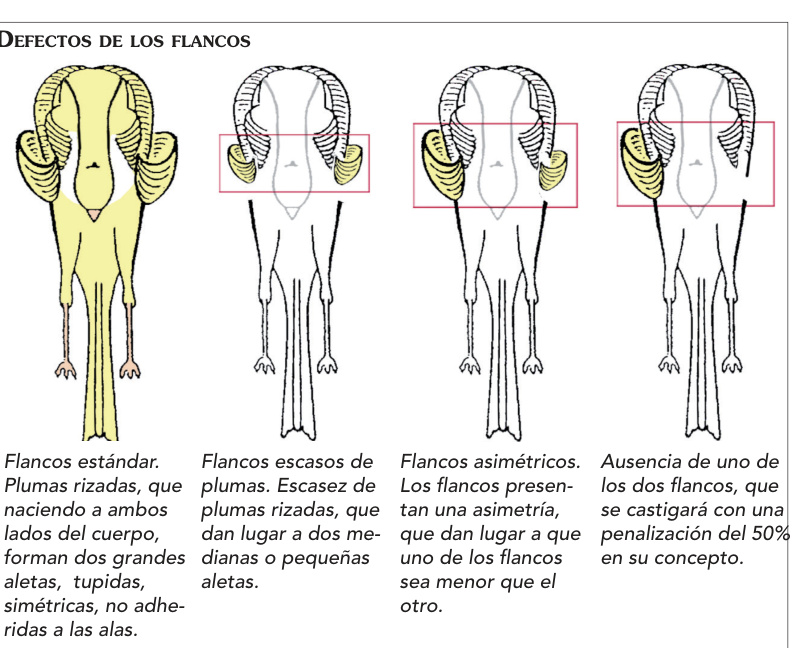 Flancos estándar y defectos, con explicaciones y penalización originales.