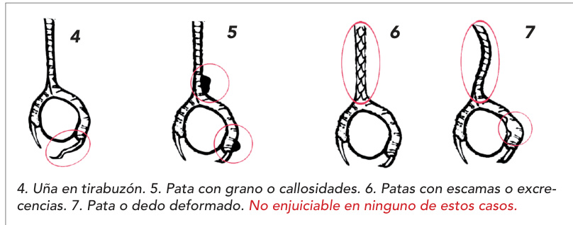 Defectos4–7 de las patas y criterio original de no enjuiciamiento.