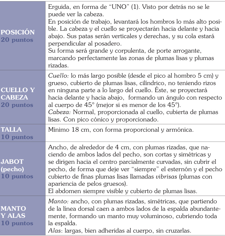 Estándar: posición, cuello y cabeza, talla, jabot, manto y alas. Tabla original.