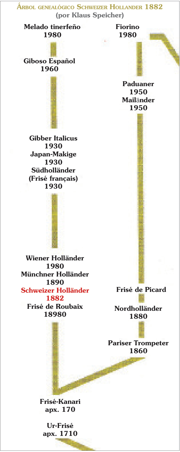 Árbol genealógico Schweizer Hollander 1882 (por Klaus Speicher).