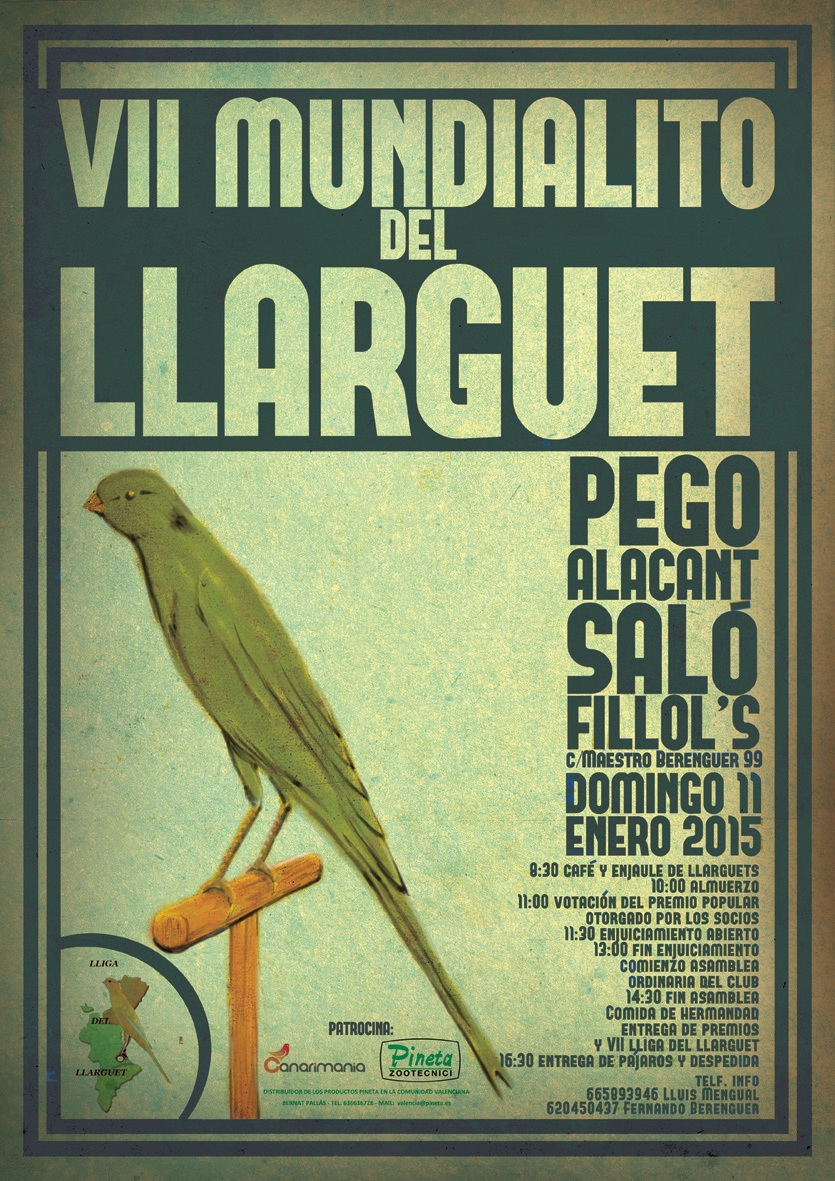 Cartel del VII Mundialito del Llarguet, Pego, enero 2015.