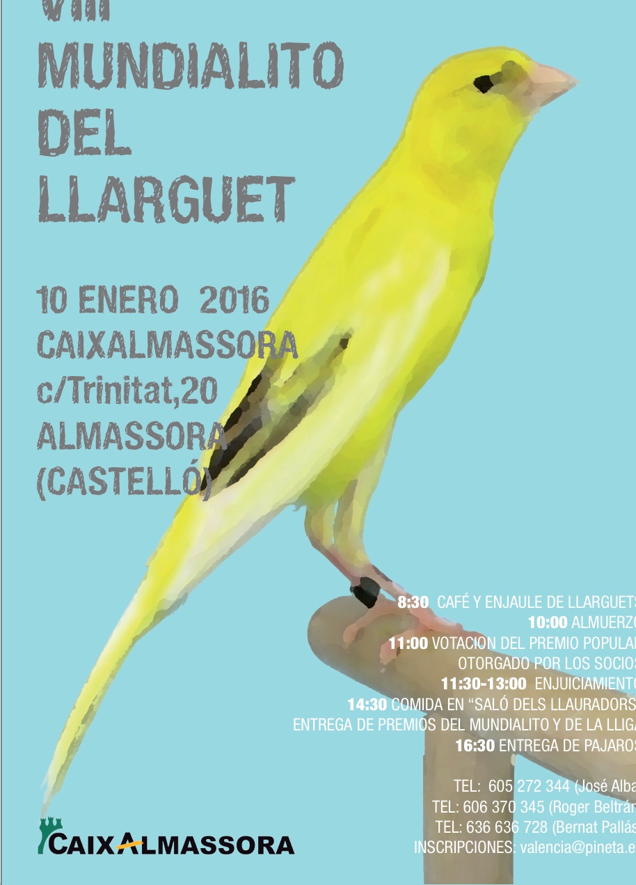 Cartel del VIII Mundialito del Llarguet, Almassora, 10 enero 2016.