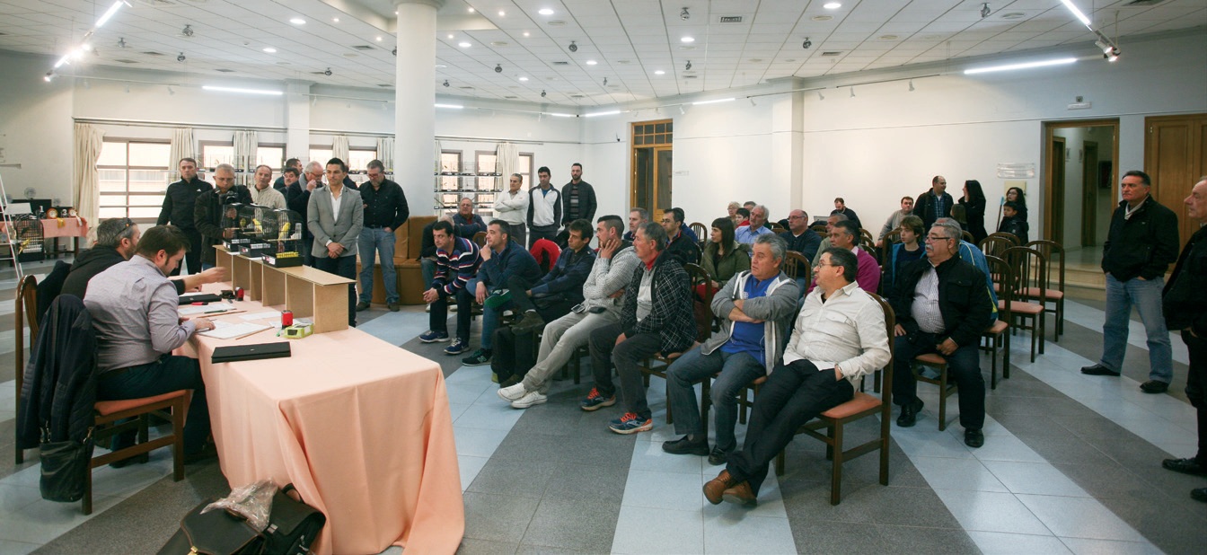 Participantes en el Mundialito del Llarguet.