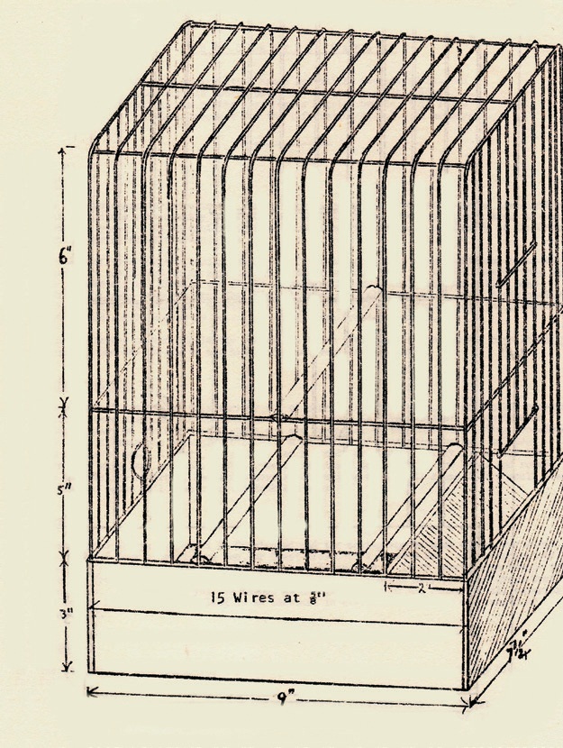 Jaula de concurso de techo plano, según un antiguo dibujo de hace 200 años, aún válida en Gran Bretaña.