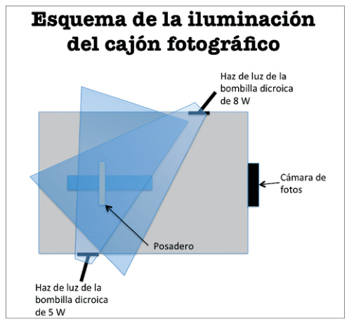 Esquema de la iluminación del cajón fotográfico.
