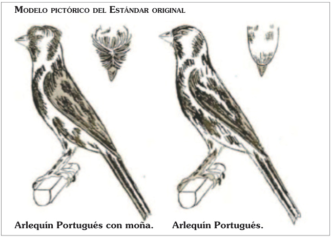 Modelo pictórico del Estándar original