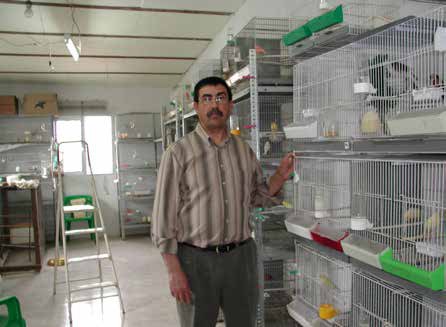 José Luis Lozano en su criadero con ejemplares de pico amarillo.
