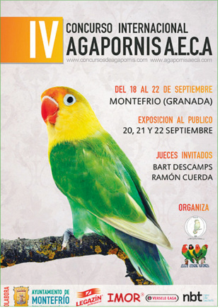 Cartel del cuarto concurso internacional AECA, Montefrío 2013.