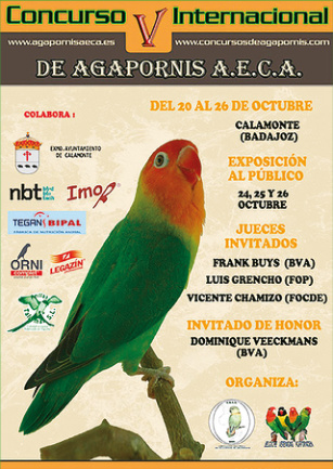 Cartel del quinto concurso internacional AECA, Calamonte 2014.