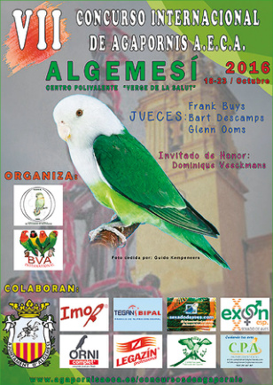 Cartel del séptimo concurso internacional AECA, Algemesí 2016.