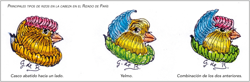 Principales tipos de rizos en la cabeza en el Rizado de París: casco abatido hacia un lado; yelmo; combinación de los dos anteriores.