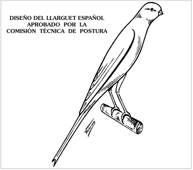 DISEÑO DEL LLARGUET ESPAÑOL APROBADO POR LA COMISIÓN TÉCNICA DE POSTURA