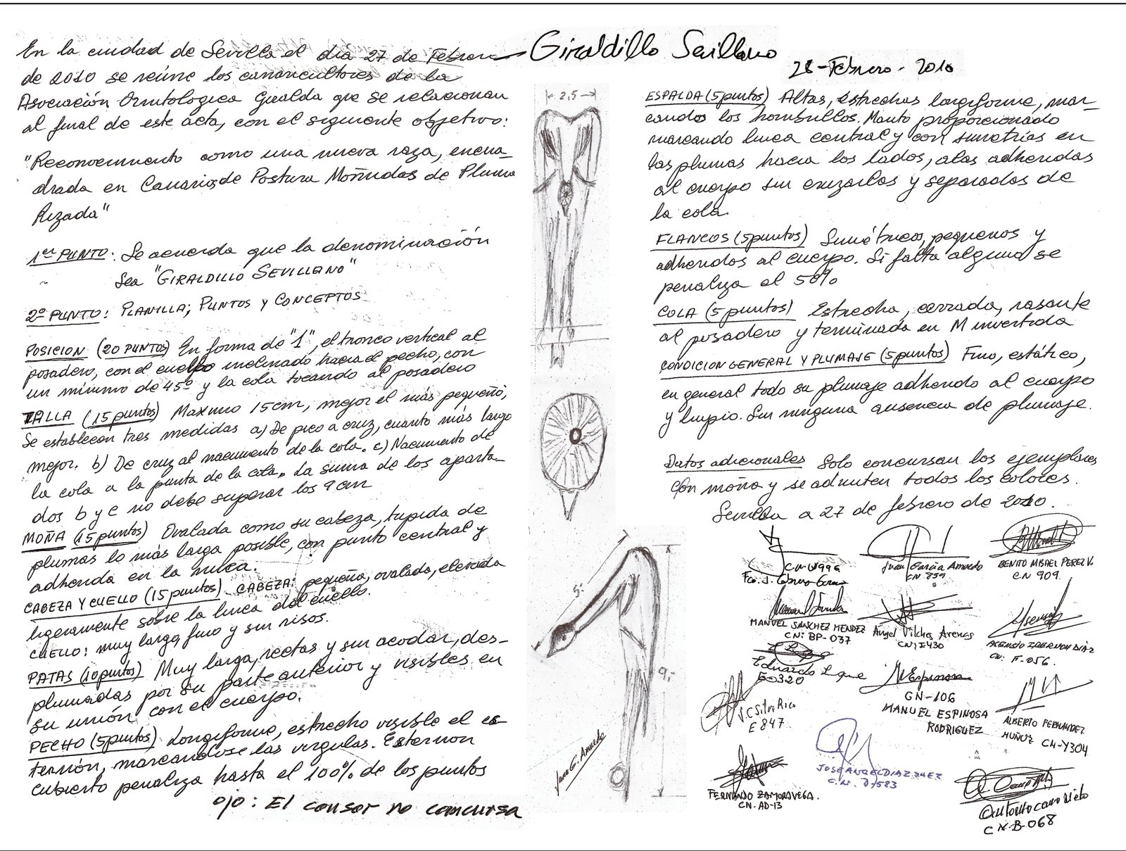 Arriba. Documento histórico: la primera propuesta de estándar, redactada a mano, sobre una servilleta, en el transcurso de una cena de criadores de Giraldillo, el 27 de febrero de 2010.