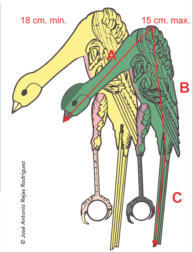 Pág. anterior y derecha. Las dos principales diferencias entre el Giraldillo Sevillano y el Giboso Español: apreciable disminución de talla y complemento de la moña. Es importante mantener la regla de B + C ≤ 9 cm, de esta forma la talla es armónica y supone que se ha alcanzado por poseer una cola desproporcionada. Criador: Alberto Fernández Muñoz.