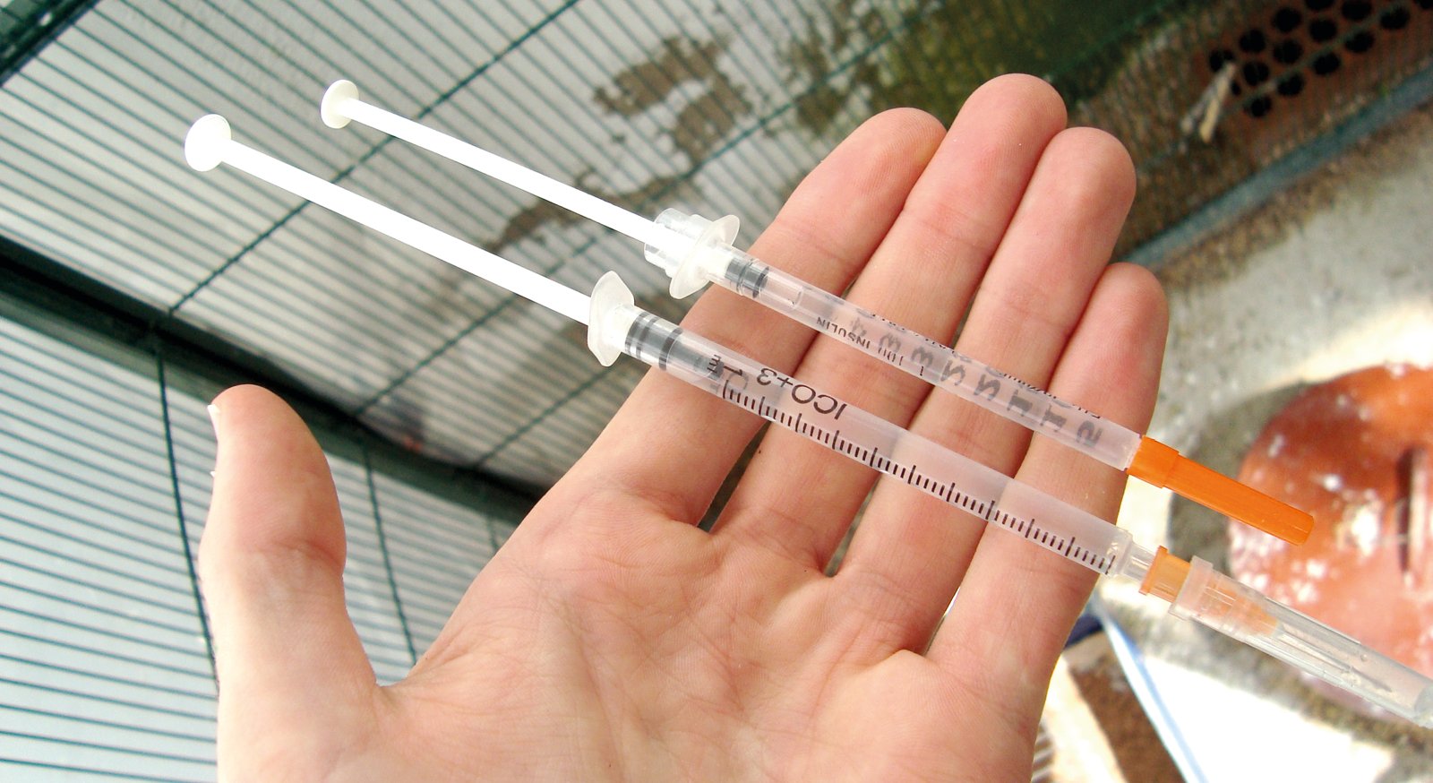 Diferentes tipos de jeringuillas aptas para realizar extracciones de sangre.