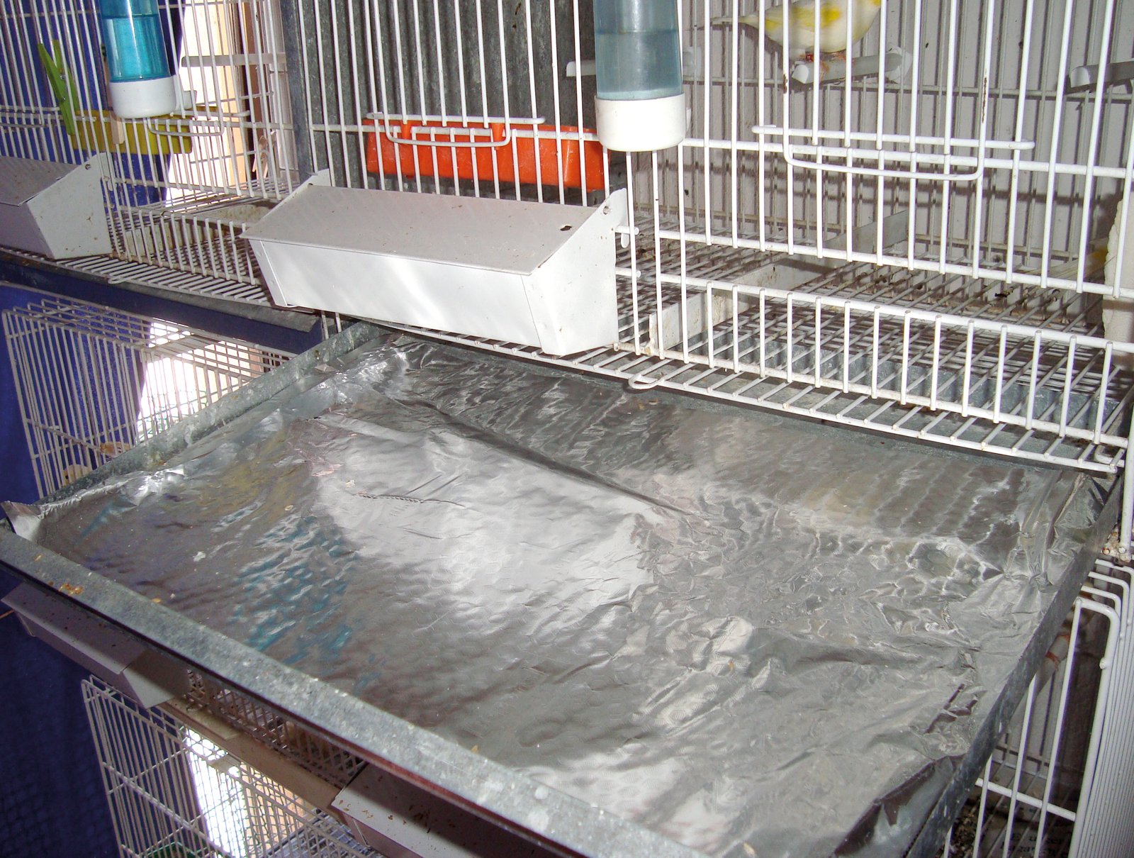 Arriba Izda. Aquí se puede apreciar el papel de aluminio en el fondo de la bandeja para recoger las heces para posterior analítica.